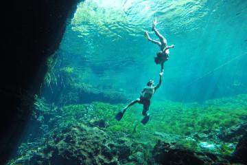 people snorkeling underwater